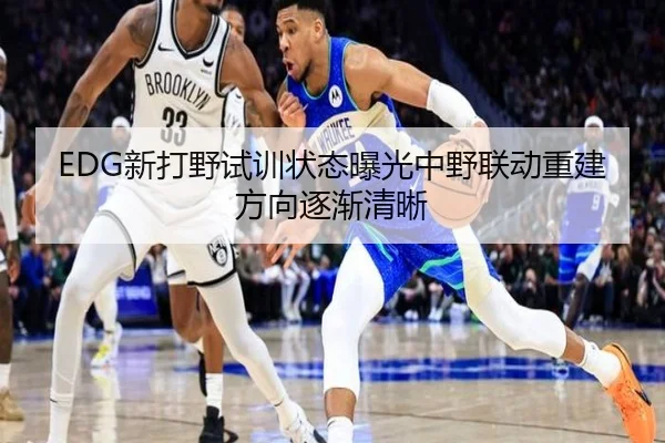EDG新打野试训状态曝光中野联动重建方向逐渐清晰